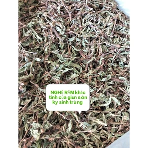 1LIỆU TRÌNH NGHỆ RĂM 3KG
