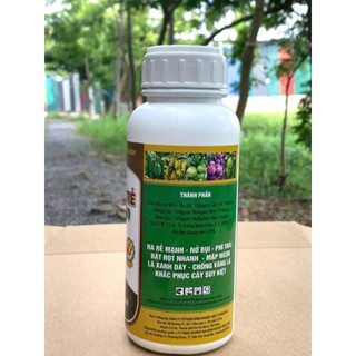 Phân bón hữu cơ Siêu kích rễ - Roots Amino - 500ml - Shop OSAKA - Cứu Rễ, Nuôi Cây, Cải Tạo Đất