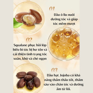 Kem Nhuộm Tóc Phủ Bạc Plant Extract 500ml - Thuốc Nhuộm Tóc Thảo Dược Đen Nâu Tự Nhiên Tại Nhà