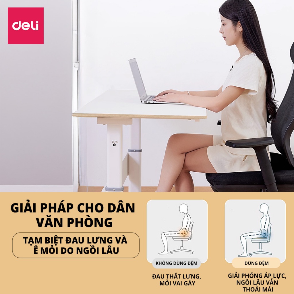 Đệm ngồi Deli nhiều phiên bản nệm lót ghế cao su non siêu đàn hồi Đệm mông chống trĩ chống đau ê mông êm ái thoải mái | BigBuy360 - bigbuy360.vn