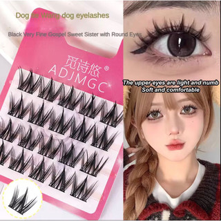 Bộ lông mi nối giả tự làm dày tự nhiên mềm Manga phong cách tái sử dụng,thích hợp cho người mới bắt đầu(cần keo)