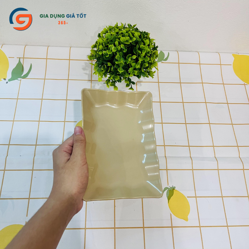 Đĩa phíp nhựa hình chữ nhật Song Long hàng dày dặn nhiều màu và kích thước