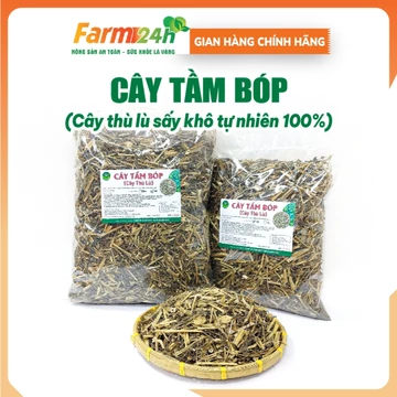 Cây Thù Lù (Tầm bóp ) khô - Mát gan, giải độc, lợi tiểu, hạ huyết áp, ổn định đường huyết, giảm mỡ máu, ngừa ung thư.