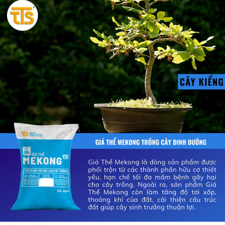 Giá Thể Đất Trồng Rau Sạch Mekong loại 50dm3 Trồng Rau Sạch Cây Kiểng