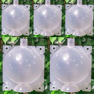 BẦU CHIẾT CÀNH NHỰA TRONG SUỐT 5CM COMBO 3 CÁI – DỤNG CỤ CHIẾT CÂY GIỮ ẨM DỄ QUAN SÁT