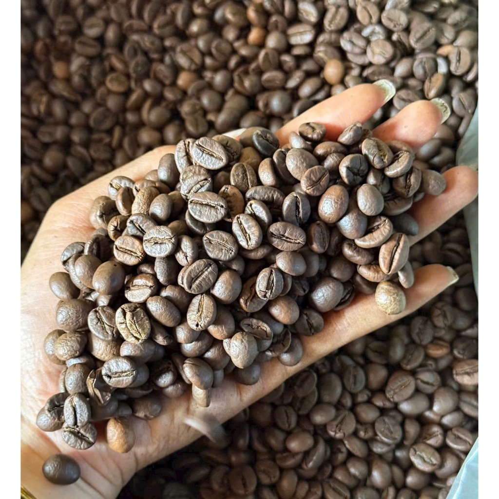 Cà Phê giá Sỉ Hạt Rang Mộc S18 50% Robusta 50% Culi Nguyên Chất