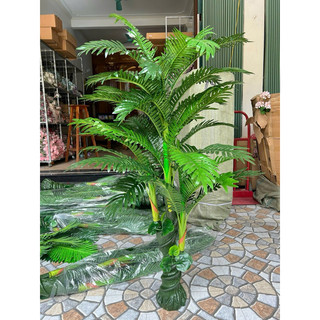 Cây dừa cổ thụ 5 nhánh cao 1,7m cao cấp - Cây giả decor
