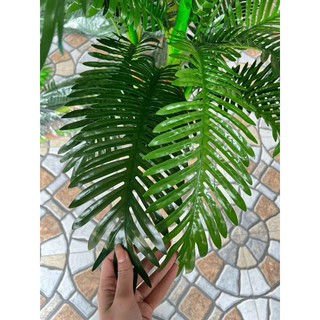 Cây dừa cổ thụ 5 nhánh cao 1,7m cao cấp - Cây giả decor