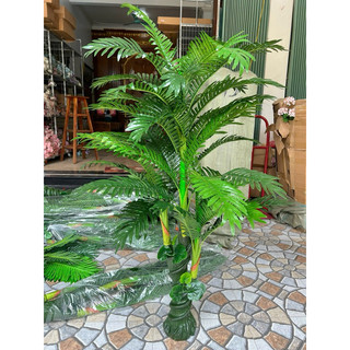 Cây dừa cổ thụ 5 nhánh cao 1,7m cao cấp - Cây giả decor