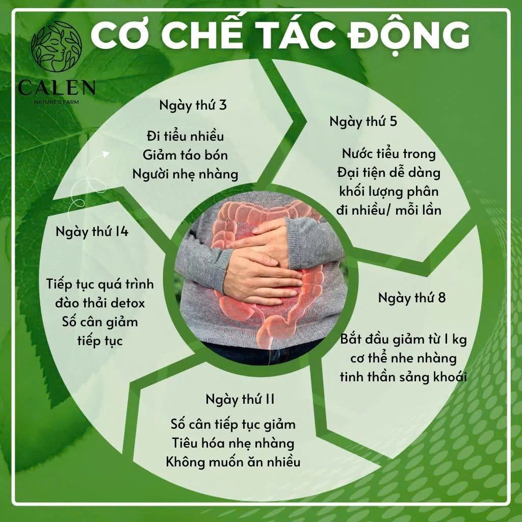 Trà thảo dược detox 14 ngày CALEN giúp detox cơ thể, làm sạch đường ruột, ngăn tích tụ mỡ thừa hiệu quả bịch 30 lọc