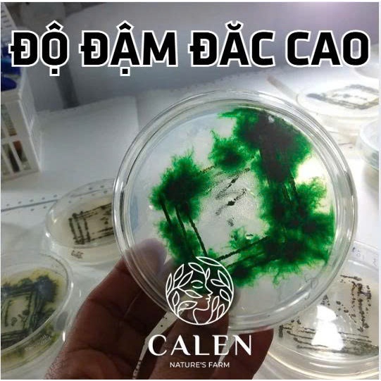 Mặt nạ bột tảo xoắn Spirulina hữu cơ nguyên chất không pha trộn gói trải nghiệm dùng thử 1 lần cao cấp Calen Nature Farm