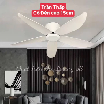 [TRẦN THẤP] Quạt Trần Bầu 15Cm Dành Cho Trần Thấp,Chung Cư.Động Cơ 100% Lõi Đồng,Điều Khiển 6 Số Gió.Đảo Chiều,Hẹn Giờ.