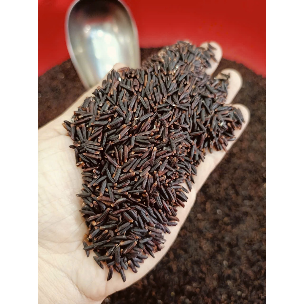 2kg Lứt Tím ST25 hữu cơ ( loại ngon ) - giàu dinh dưỡng - tốt cho người tiểu đường, tim mạch