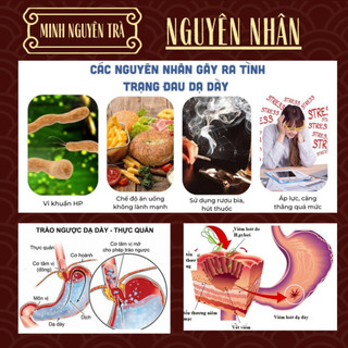 Trà Dạ Dày Đại Tràng - Minh Nguyên - Trào Ngược, Đầy Hơi, Viêm Loét, Ngăn Vi Khuẩn HP - Túi 50 lọc