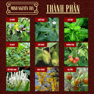 Trà Dạ Dày Đại Tràng - Minh Nguyên - Trào Ngược, Đầy Hơi, Viêm Loét, Ngăn Vi Khuẩn HP - Túi 50 lọc