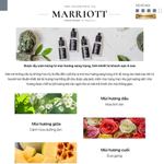 Nước Hoa Xethom Tự Động AI Automatic - Máy Tạo Hương JW Marriott 5 Sao Cao Cấp, Đổ Thêm Dễ Dàng, Dung Tích 180ml — ảnh 4
