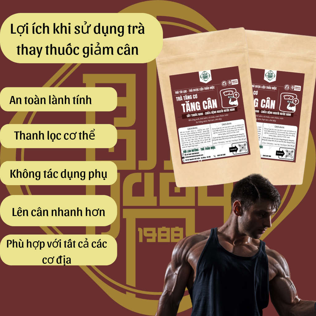 Trà Tăng Cân - Bội Lan Đường - Giúp Ăn Ngon, Ngủ Ngon, An Toàn Không Tích Nước - Túi 50 lọc