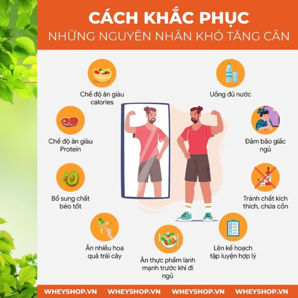 Trà Tăng Cân - Bội Lan Đường - Giúp Ăn Ngon, Ngủ Ngon, An Toàn Không Tích Nước - Túi 50 lọc