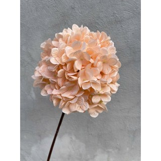 Hoa Giả Hoa Cẩm Tú Cầu 63cm , bông Size Đại 20cm Sang Trọng, Bền Đẹp Trang Trí Nhà Cửa