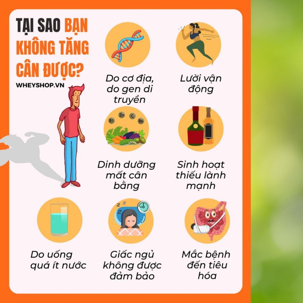 Trà Tăng Cân - Bội Lan Đường - Kiện Tỳ, Ăn Ngon, Ngủ Ngon, An Toàn Không Tích Nước - Túi 50 lọc