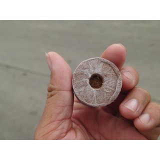 Viên Nén Sơ Dừa Ươn Cây Con Xả Chát Thích Hợp Ươn Hạt Giống Các Loại