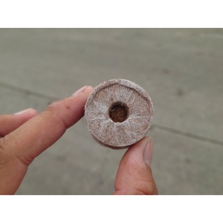 Viên Nén Sơ Dừa Ươn Cây Con Xả Chát Thích Hợp Ươn Hạt Giống Các Loại