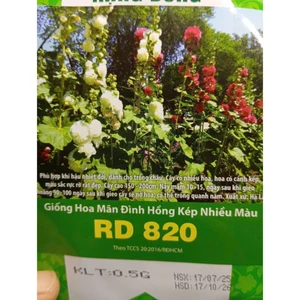 HẠT GIỐNG HOA MÃN ĐÌNH HỒNG KÉP NHIỀU MÀU RD 820 - CHÍNH HÃNG RẠNG ĐÔNG ( DATE MỚI NHẤT)
