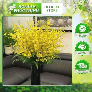 Cành vũ nữ vàng 8 nhánh hàng loại 1-cao 105cm hoa nhân tạo #hoa_trang_trí #vũ_nữ_vàng