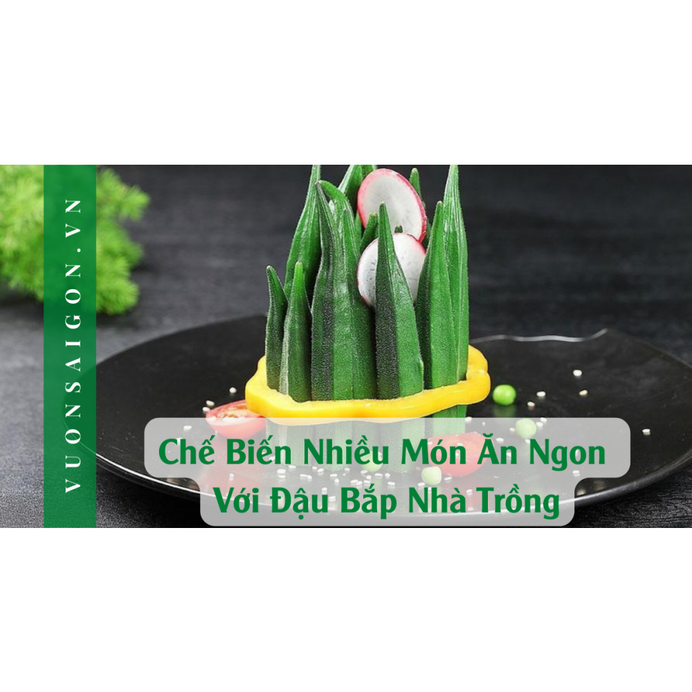 HẠT GIỐNG ĐẬU BẮP XANH CAO SẢN RD 323 - CHÍNH HÃNG RẠNG ĐÔNG ( DATE MỚI NHẤT)
