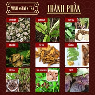 Trà Tiêu Gút (Gout) - Minh Nguyên - Đào Thải Axit Uric, Giảm Nguy Cơ Viêm Khớp Gout - Túi 50 Lọc