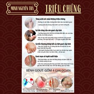 Trà Tiêu Gút (Gout) - Minh Nguyên - Đào Thải Axit Uric, Giảm Nguy Cơ Viêm Khớp Gout - Túi 50 Lọc