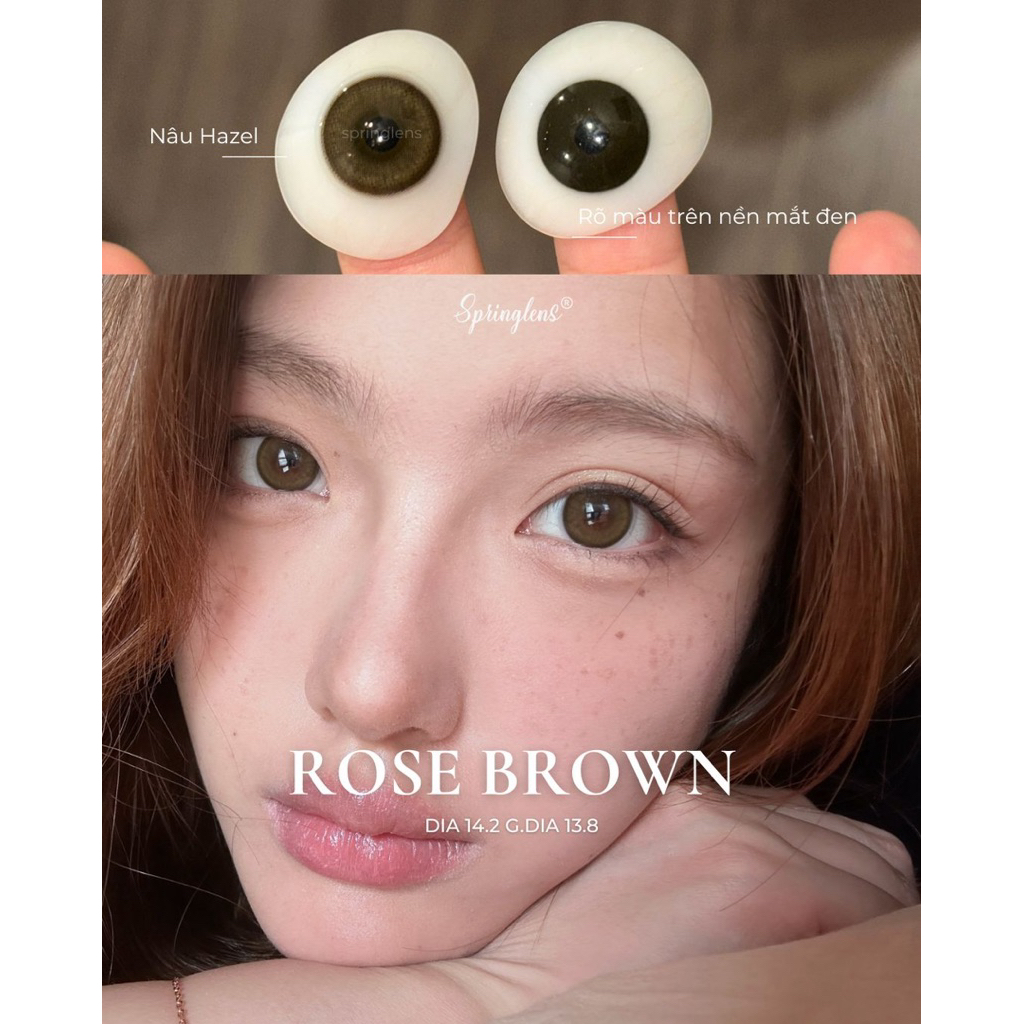 Kính áp tròng nâu ROSE BROWN nâu hazel cam ngọt viền nhẹ có giãn 1 tháng | Spring Lens