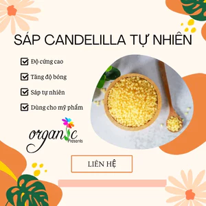 SÁP CANDELILLA TỰ NHIÊN (KOSTER - MỸ) - Khối lượng 25g 50g 100g