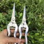 Kéo tỉa cành cây, kéo cắt tỉa dăm thép trắng sắc bén, không gỉ chuyên tỉa dăm, tỉa tán bonsai, cây cảnh dài 21cm