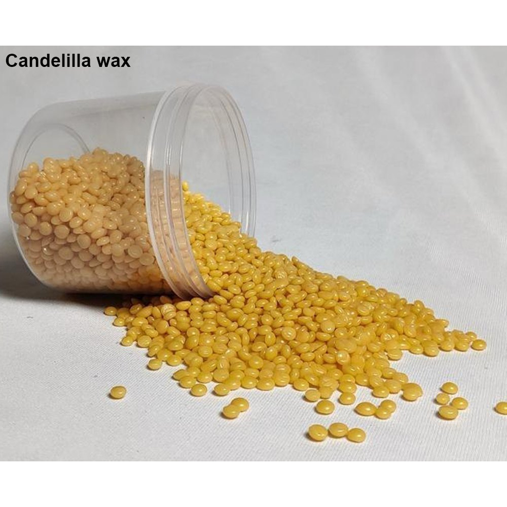 SÁP CANDELILLA TỰ NHIÊN (KOSTER - MỸ) - Khối lượng 25g 50g 100g