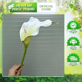 Cành rum 1bông chất cao su 75cm, cắm bình,trang trí nhà cửa , cà phê, khách sạn, tổ chức sự kiện