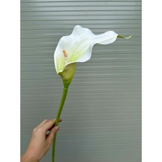 Cành rum 1bông chất cao su 75cm, cắm bình,trang trí nhà cửa , cà phê, khách sạn, tổ chức sự kiện
