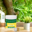 1000g/500g Keo chống thấm trong suốt Nhật Bản trọng lượng tặng kèm chổi quét nhỏ