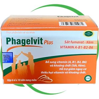 Combo 2 Hộp Phagelvit Plus 60 Viên - Rostex - Vinaphar - Vitamin Phục Hồi