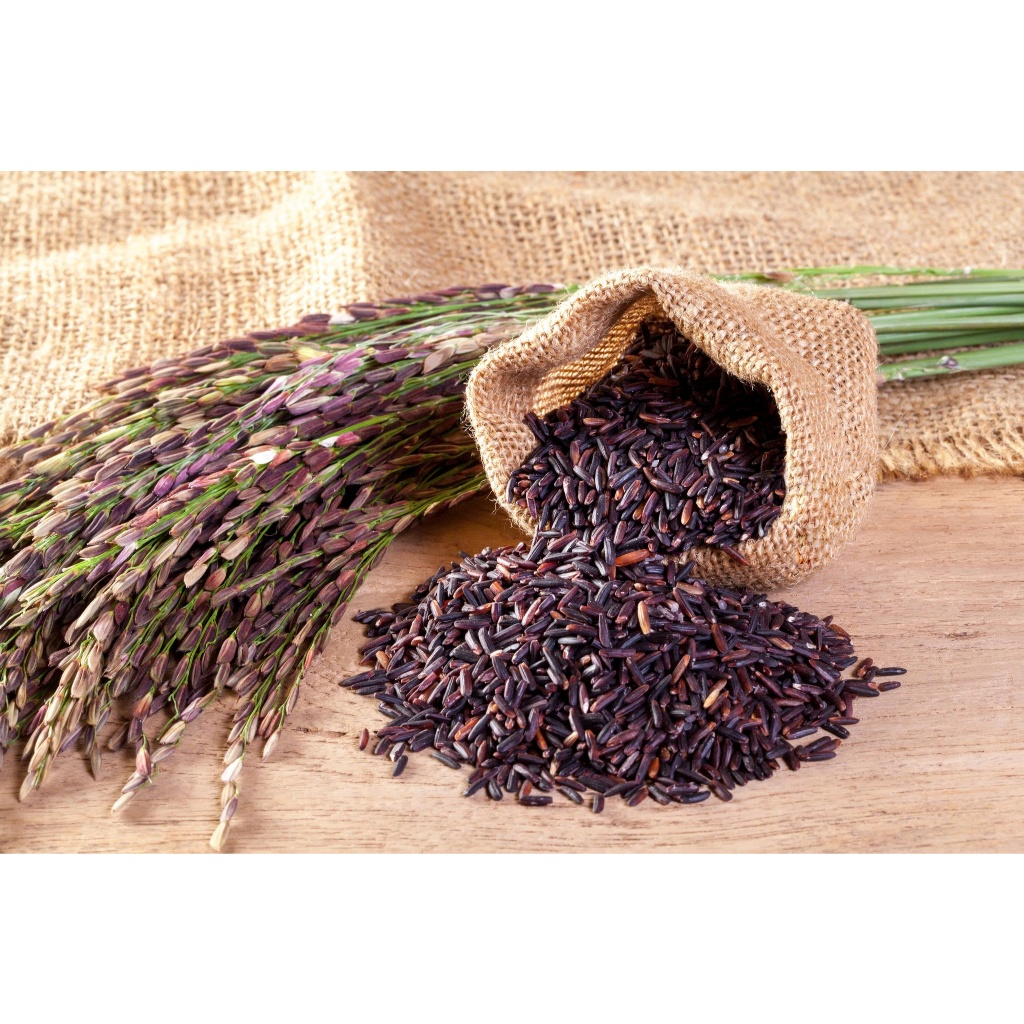 1kg gạo Lứt Tím ST25 hữu cơ giàu dinh dưỡng - tốt cho người tiểu đường, tim mạch, ăn kiêng
