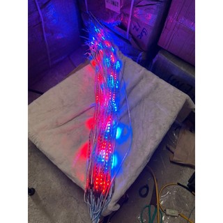 COMBO 5 dây led nháy đuổi 7 mà. Đèn led dài 1M chống nước tốt dùng cho ô tô, xe tải