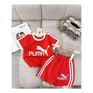 COMBO 3 BỘ CỘC TAY VIỀN TRẮNG chữP