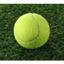 Túi 3 Bóng Tennis Chuyên Dụng Mới 100% Được Sử Dụng Phổ Biến Nhất