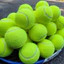 Túi 3 Bóng Tennis Chuyên Dụng Mới 100% Được Sử Dụng Phổ Biến Nhất