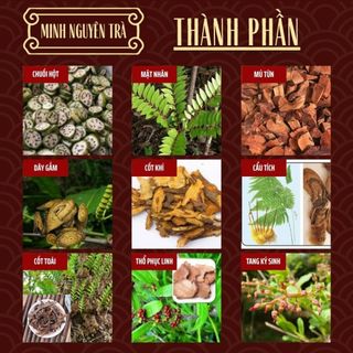 [Có Che Tên] Trà Bổ Thận Tráng Dương - Minh Nguyên - Túi 50 lọc