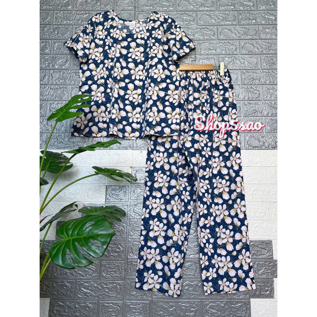 Mẫu 23