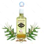 Tinh Dầu Tràm Bé Thơ, Dầu Tràm Huế Cho Bé Hàng Chính Hãng 50ml/100ml Hỗ Trợ Chống Muỗi, Cảm Lạnh