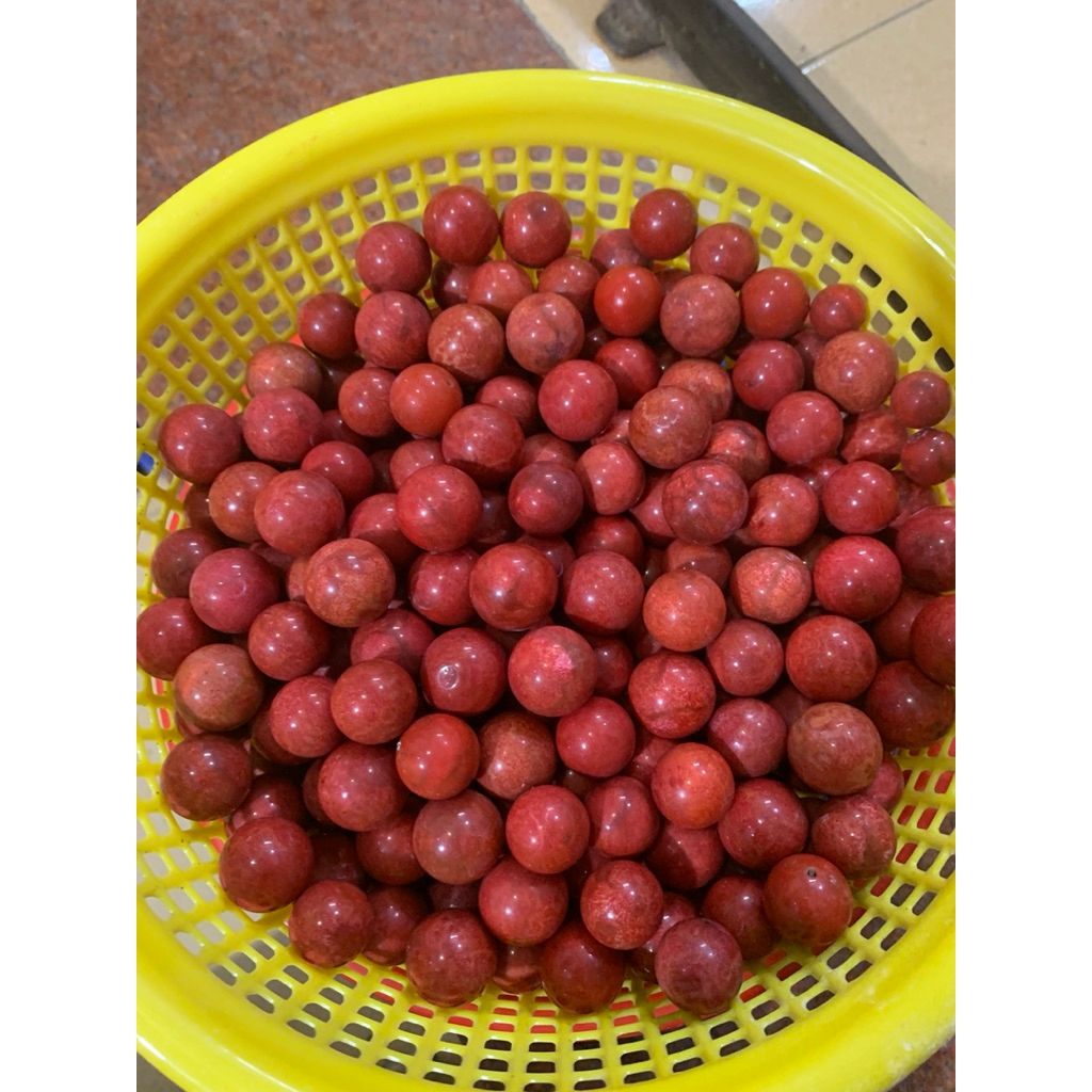 33 hạt 12ly san hô đỏ