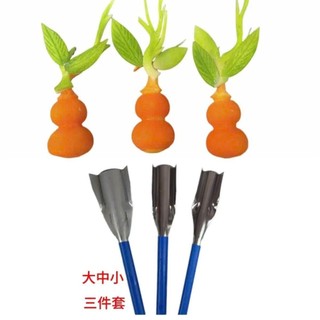 🔪 DAO TẠO HÌNH CÂY TRÚC – Trang trí củ quả, tạo hình đỉnh cao cho món ăn