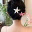 Kẹp tóc mái đi biển hình vỏ sò sao biển mùa hè xinh xắn dễ thương phụ kiện thời trang đi biển phong cách Hàn Quốc